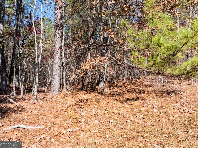 $39,900 | 2.19-acres Ridgeville Court, Tignall, GA 30668