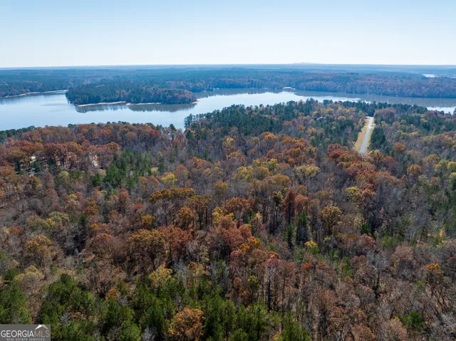 an aerial view of mountain and trees all around