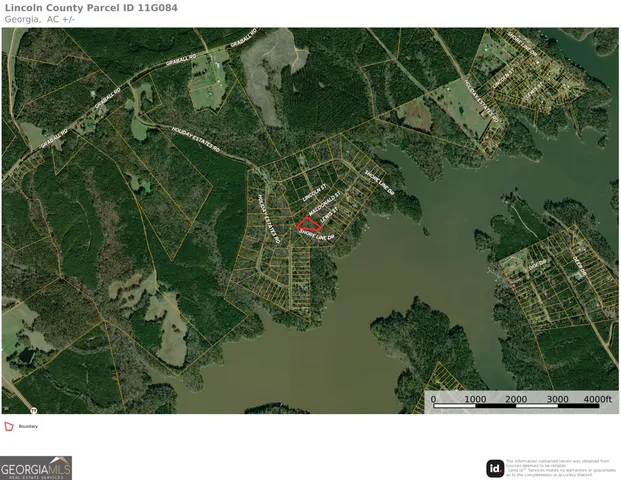 a black and white photo of a forest