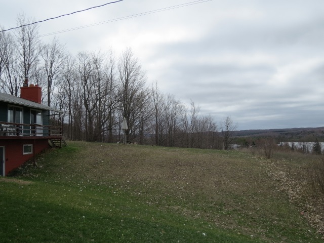 7113 Cottage Road Bellaire, MI 49615 - Photo 3 of 27 1798702-2.JPG