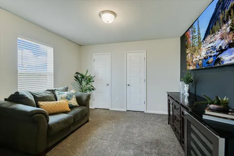 a living room with furniture and a potted plant