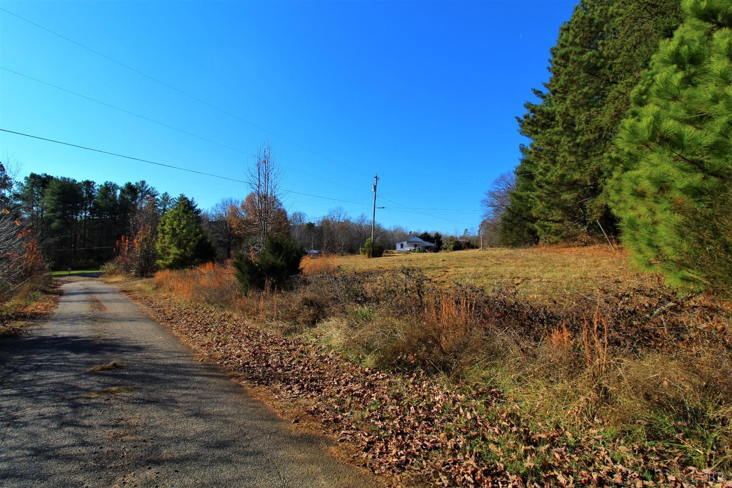 5134 Whispering Pines Road Cascade, VA 24069 - Photo 17 of 45 a view of a yard with trees