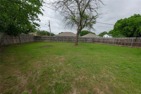 a backyard of a house with plants and large tree