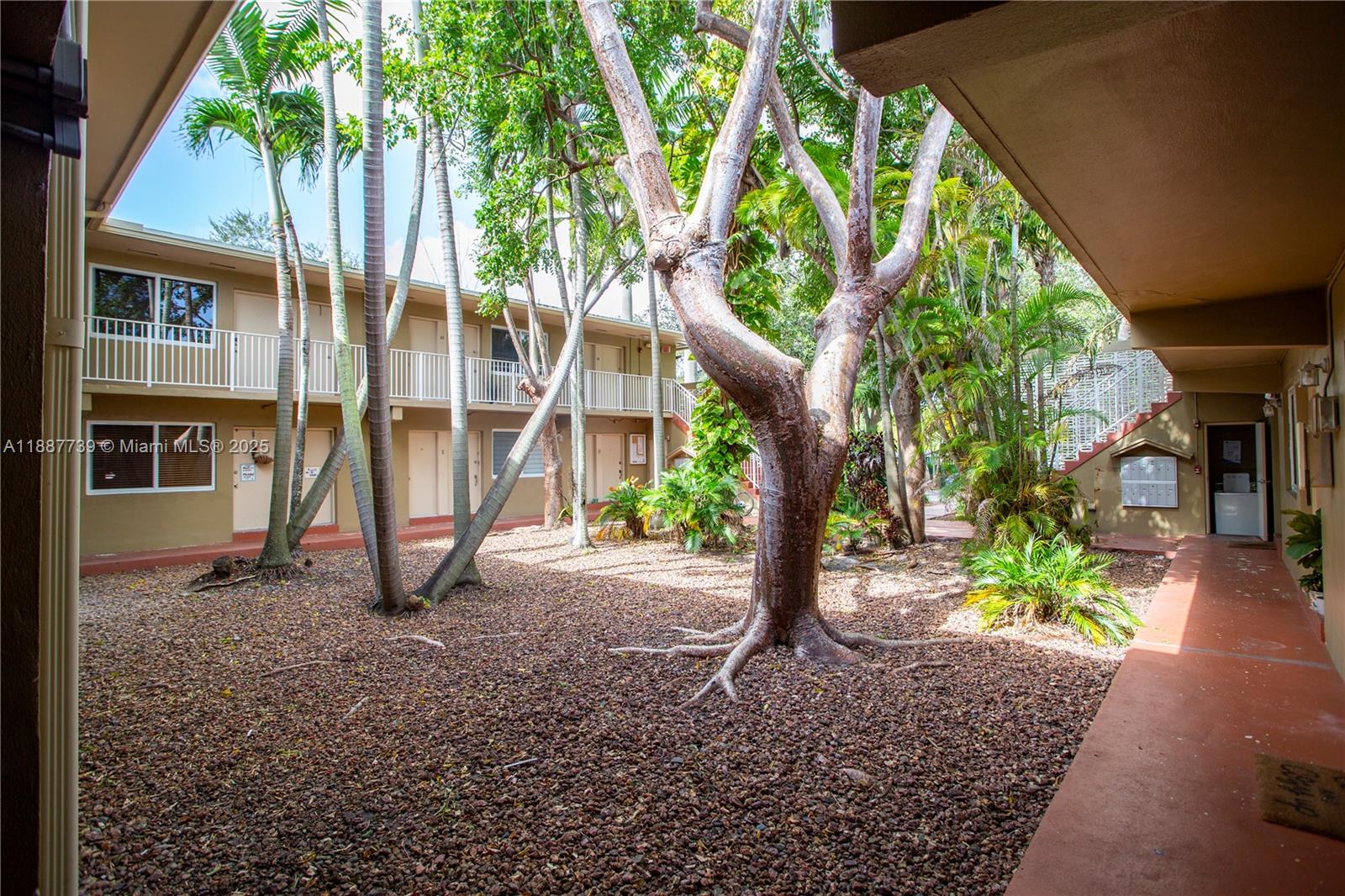 6330 Southwest 79th Street, Unit 5 South Miami, FL 33143 - Photo 19 of 19 a view of an house with backyard and trees