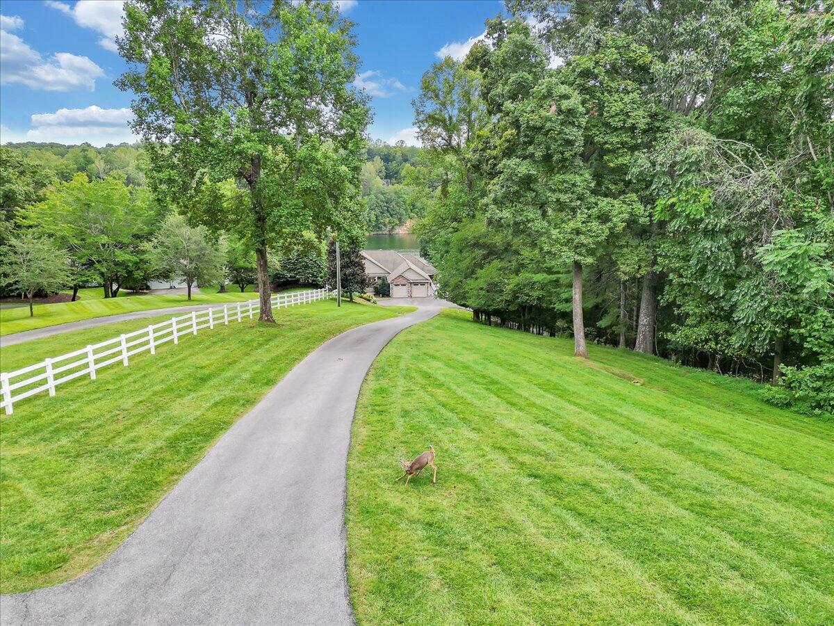 1121 Waynes Way Goodview, VA 24095 - Photo 74 of 79 a view of a park with large trees