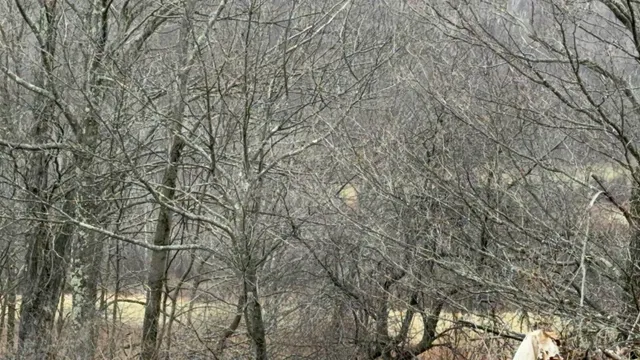 $625,000 | 0 Suncrest Road, West Pawlet, VT 05775