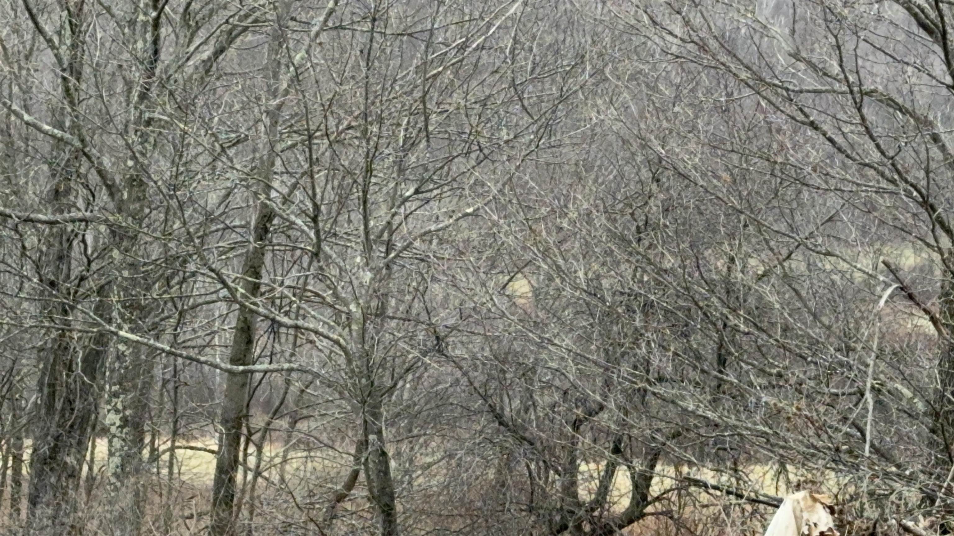 0 Suncrest Road West Pawlet, VT 05775 - Photo 11 of 27