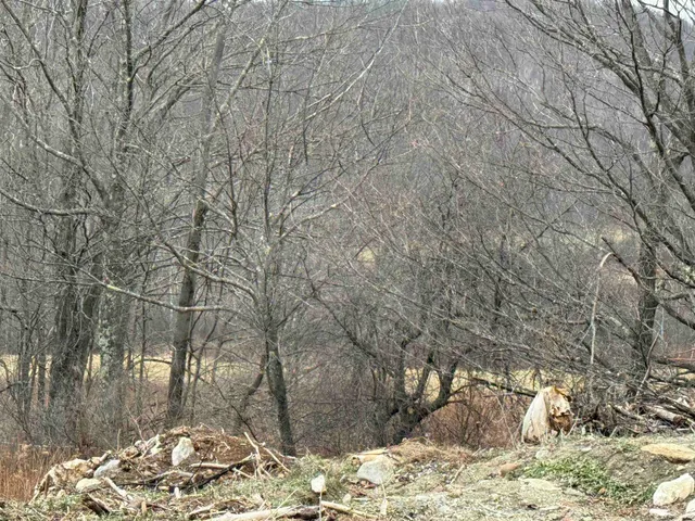 $625,000 | 0 Suncrest Road, West Pawlet, VT 05775