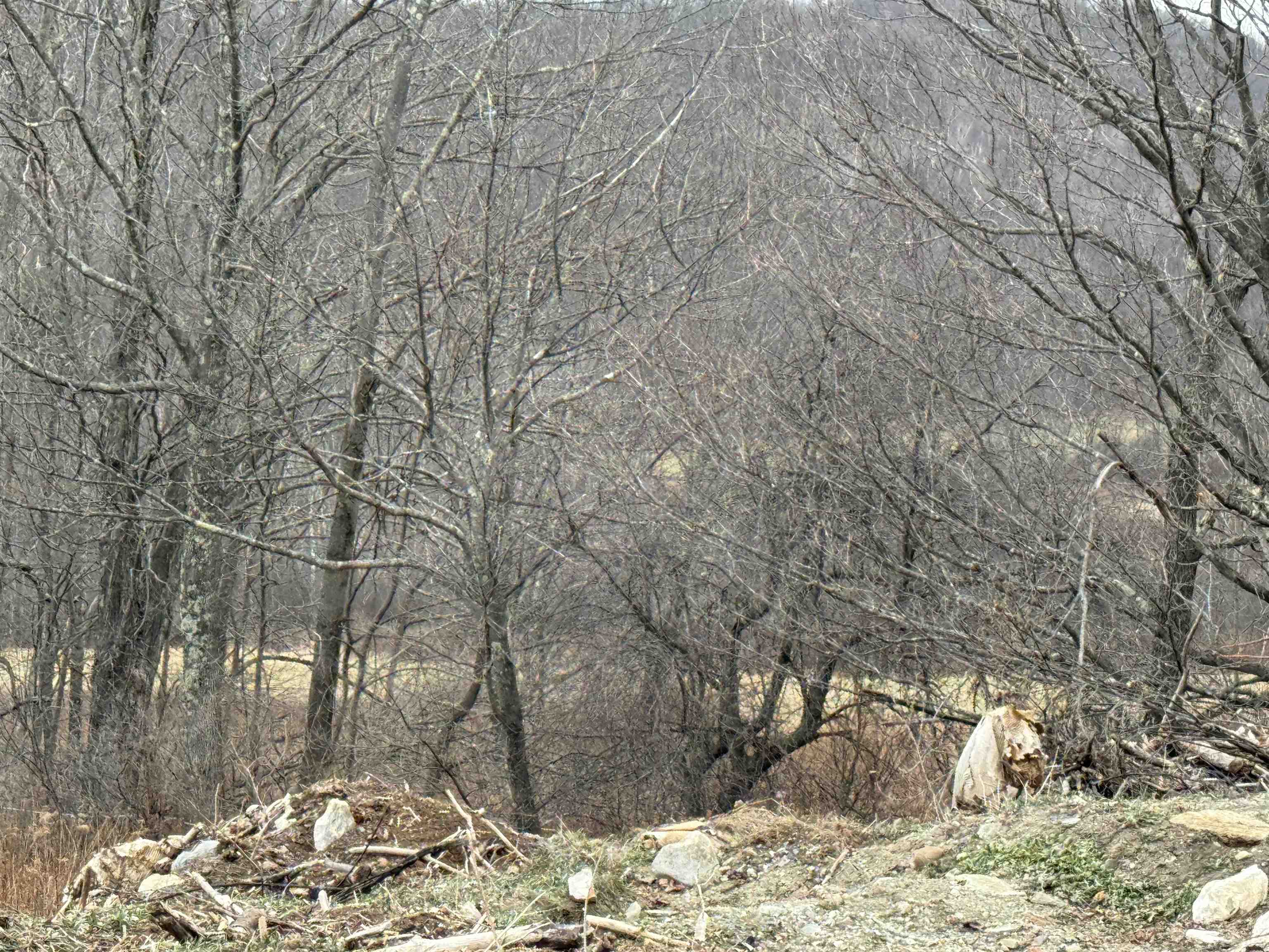 0 Suncrest Road West Pawlet, VT 05775 - Photo 12 of 27