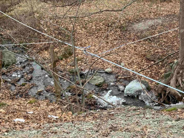 $625,000 | 0 Suncrest Road, West Pawlet, VT 05775