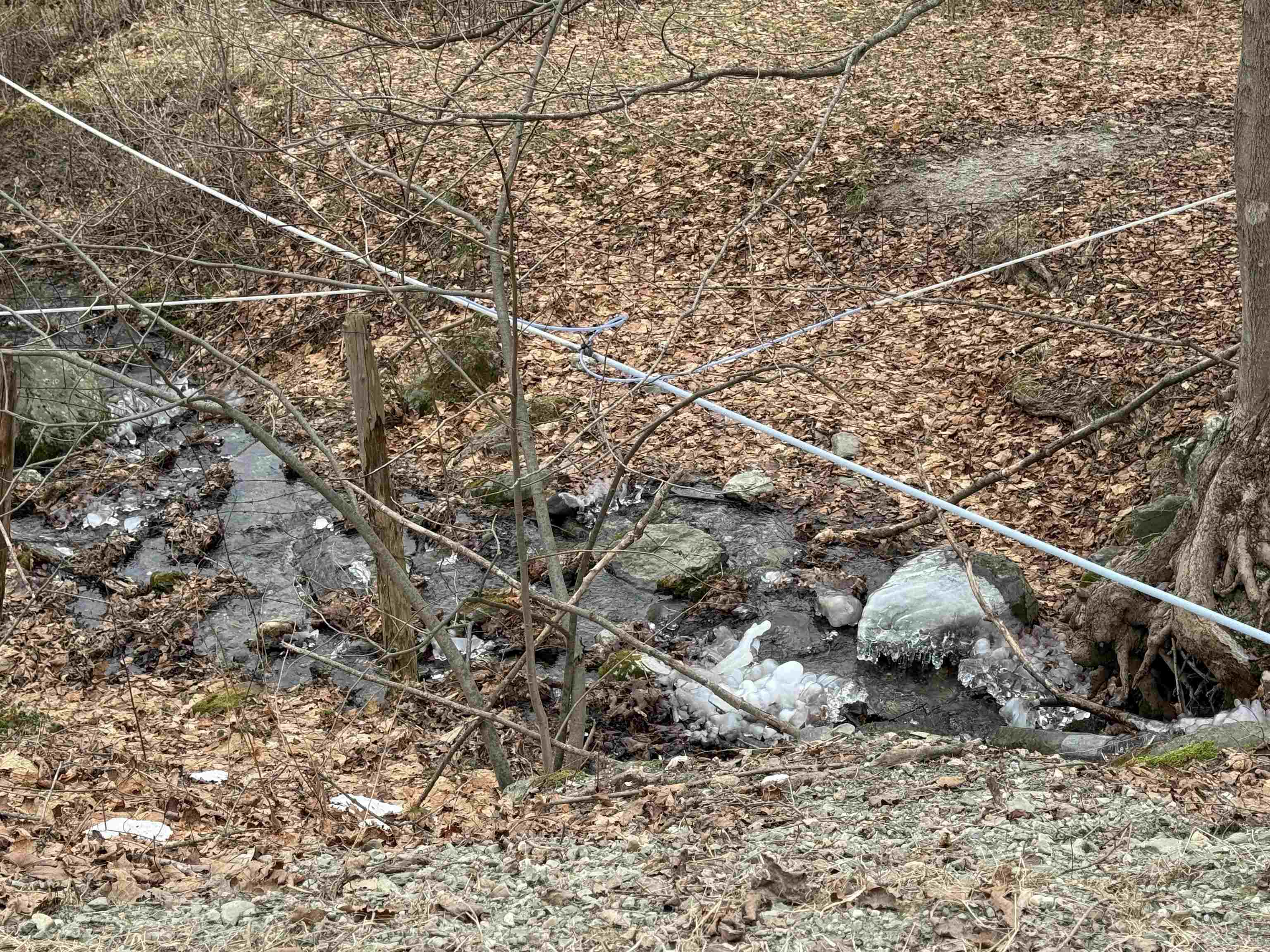 0 Suncrest Road West Pawlet, VT 05775 - Photo 18 of 27