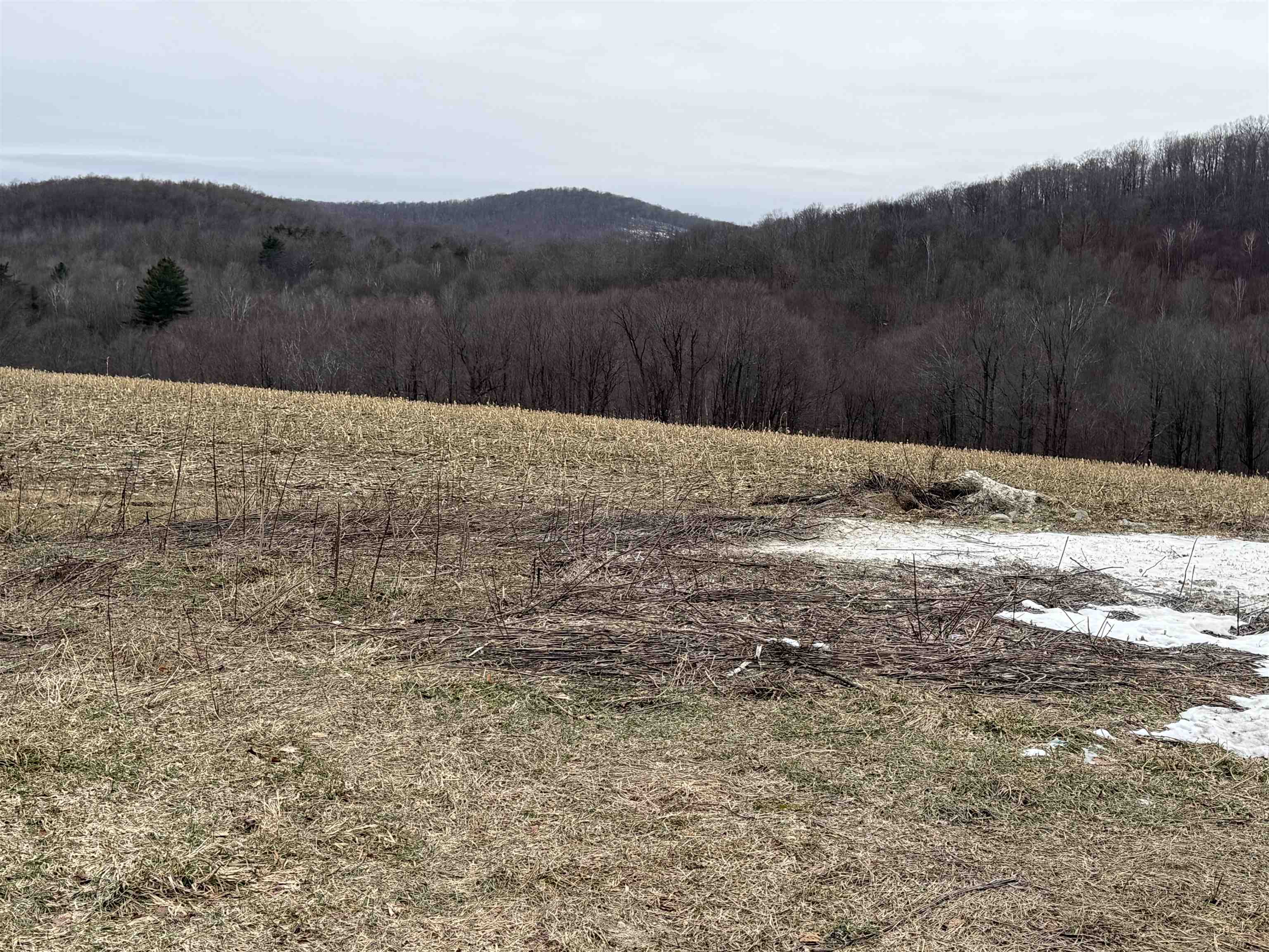 0 Suncrest Road West Pawlet, VT 05775 - Photo 2 of 27