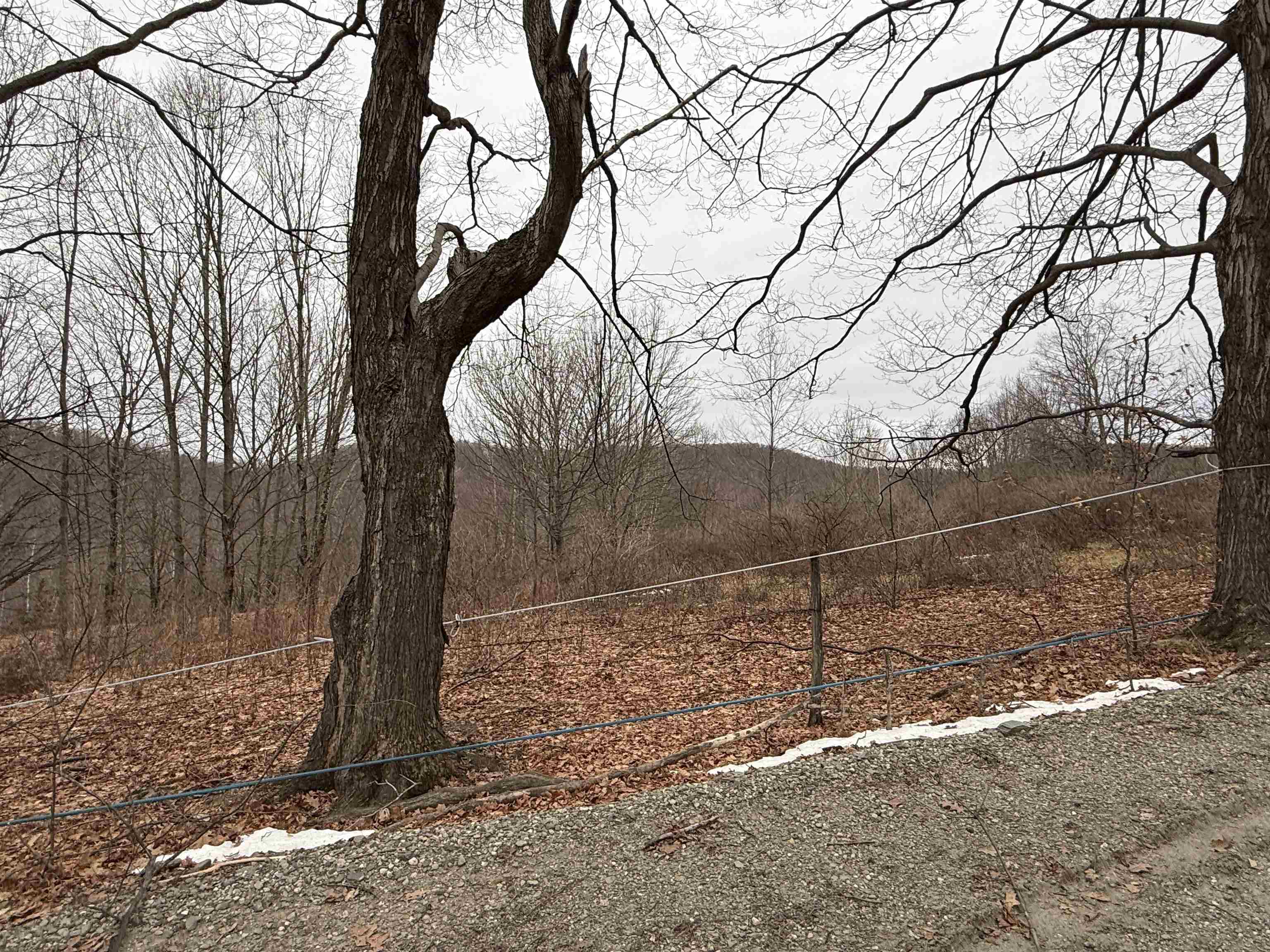 0 Suncrest Road West Pawlet, VT 05775 - Photo 21 of 27