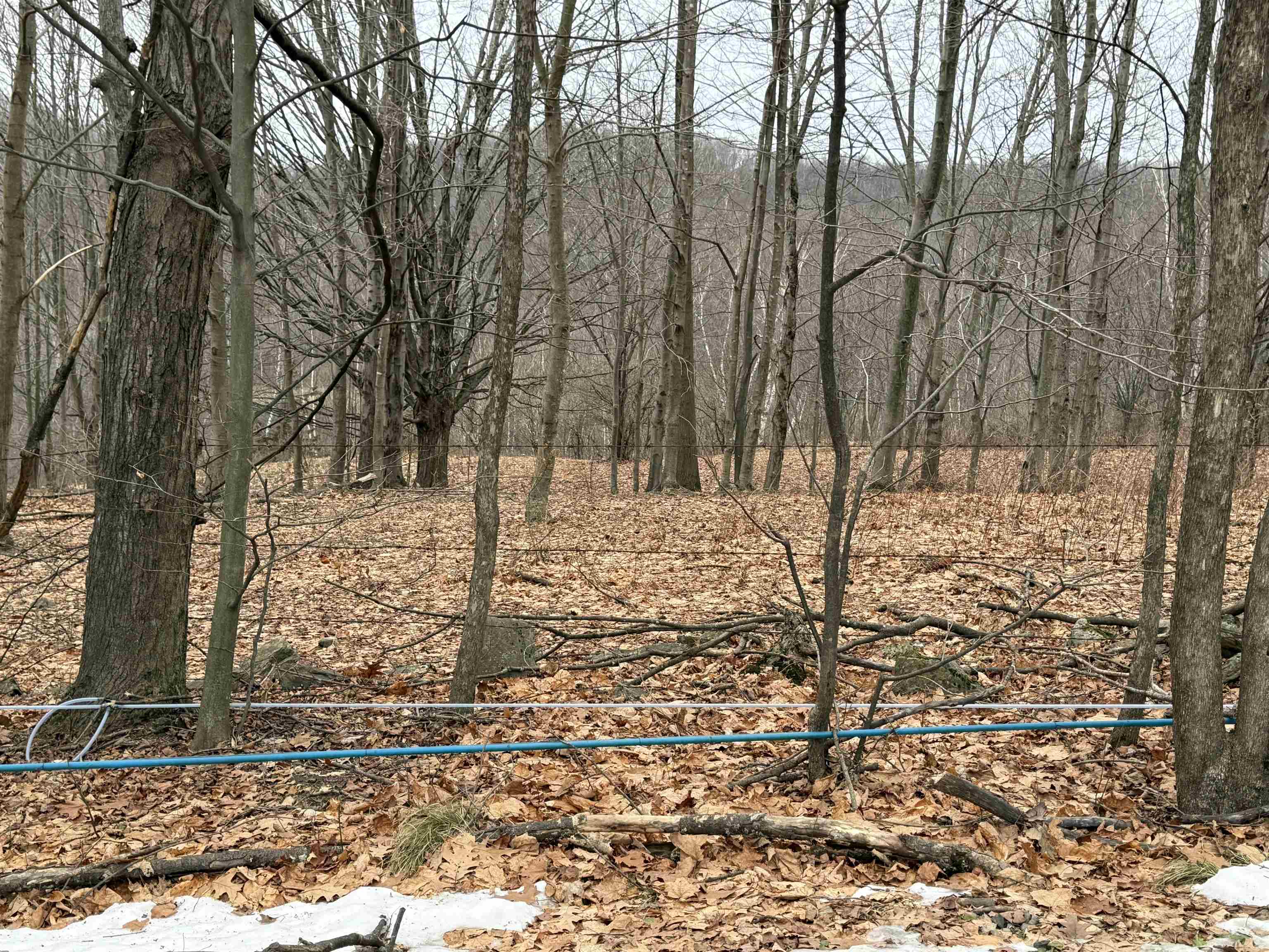 0 Suncrest Road West Pawlet, VT 05775 - Photo 22 of 27