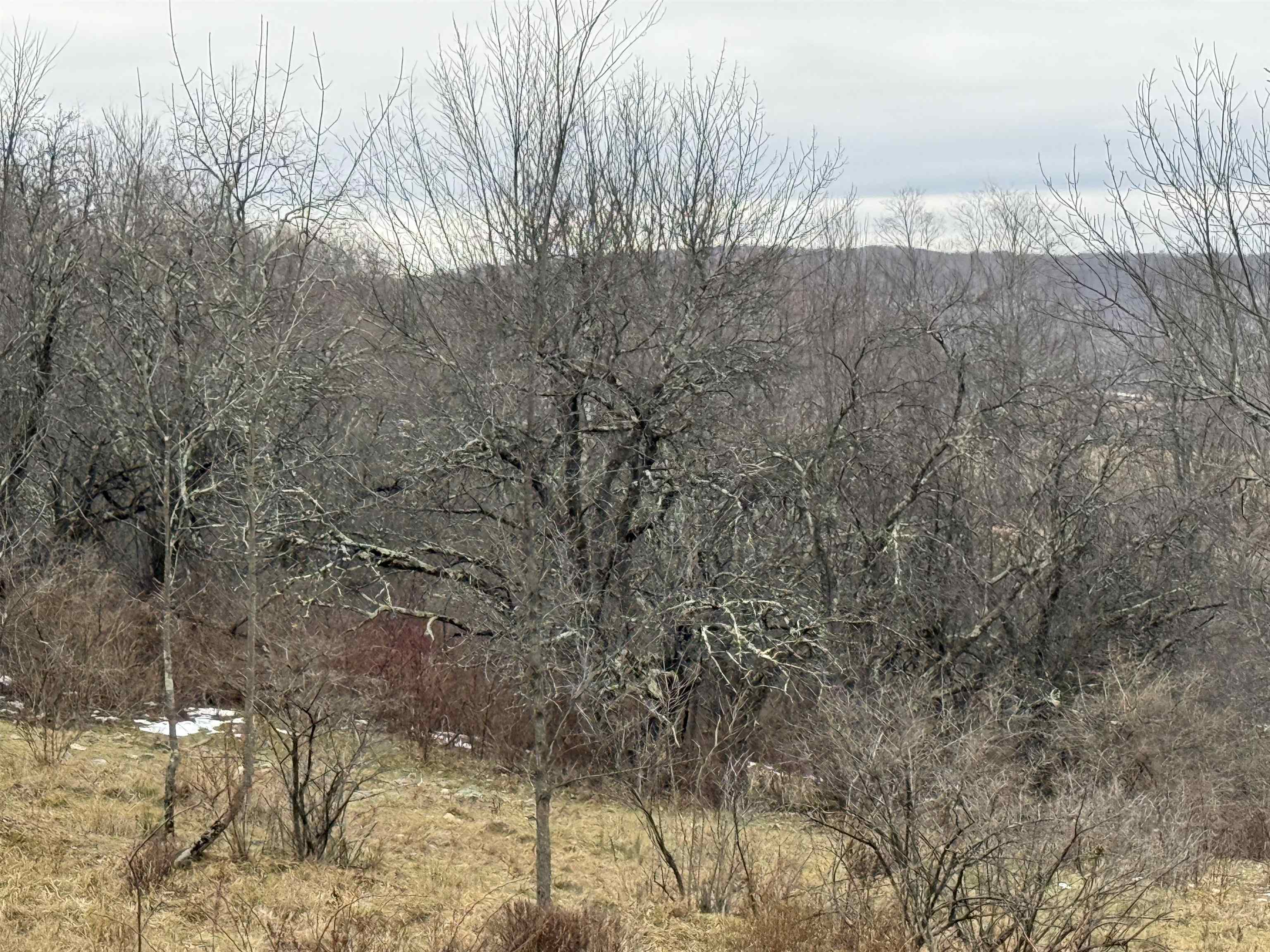 0 Suncrest Road West Pawlet, VT 05775 - Photo 23 of 27