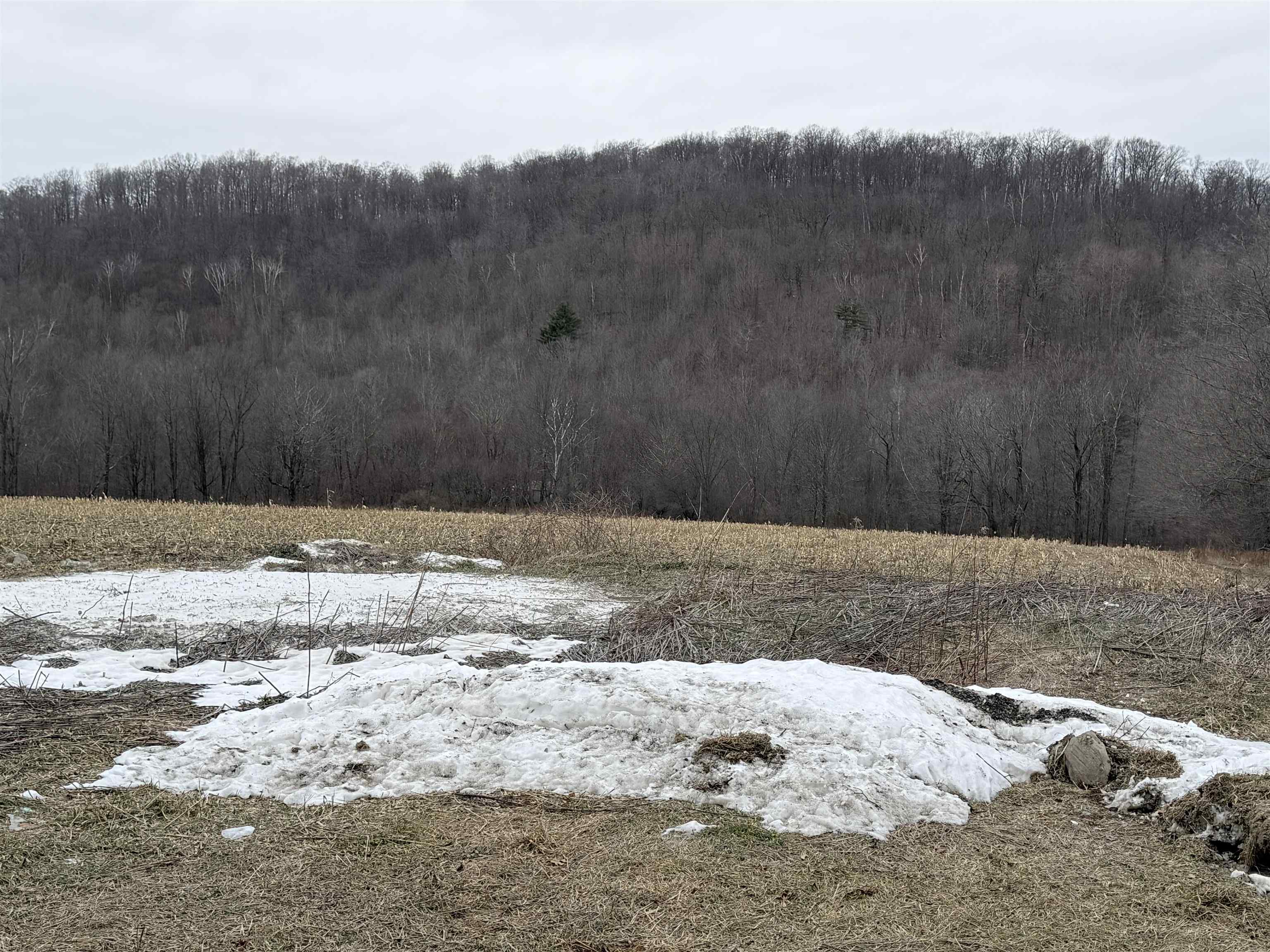 0 Suncrest Road West Pawlet, VT 05775 - Photo 3 of 27