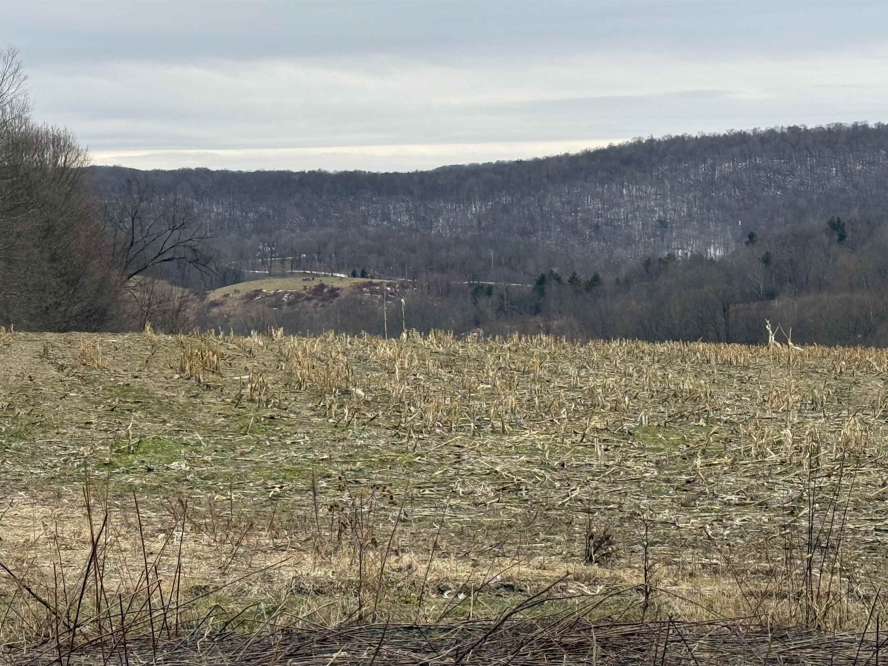 0 Suncrest Road West Pawlet, VT 05775 - Photo 6 of 27