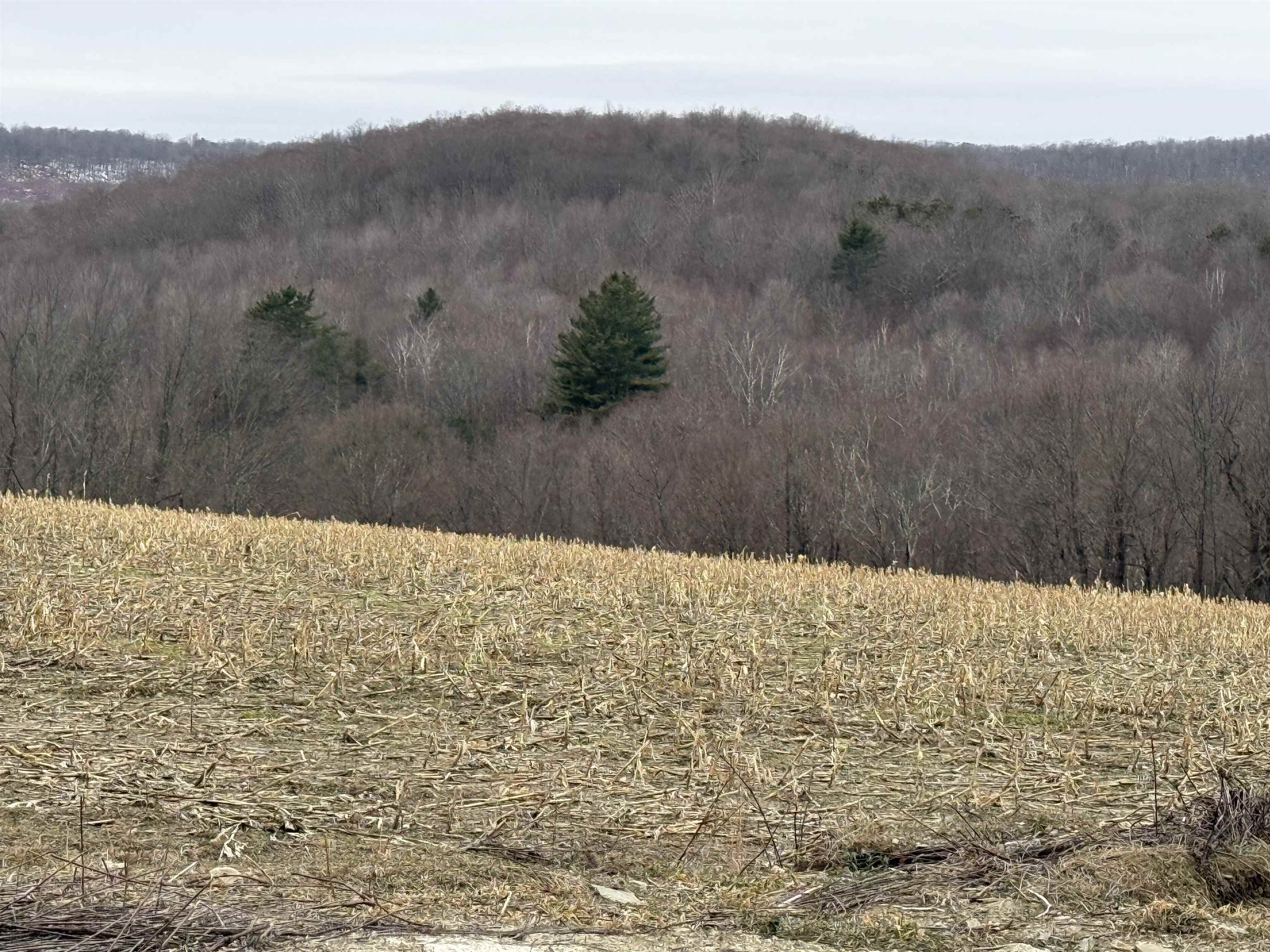 0 Suncrest Road West Pawlet, VT 05775 - Photo 7 of 27