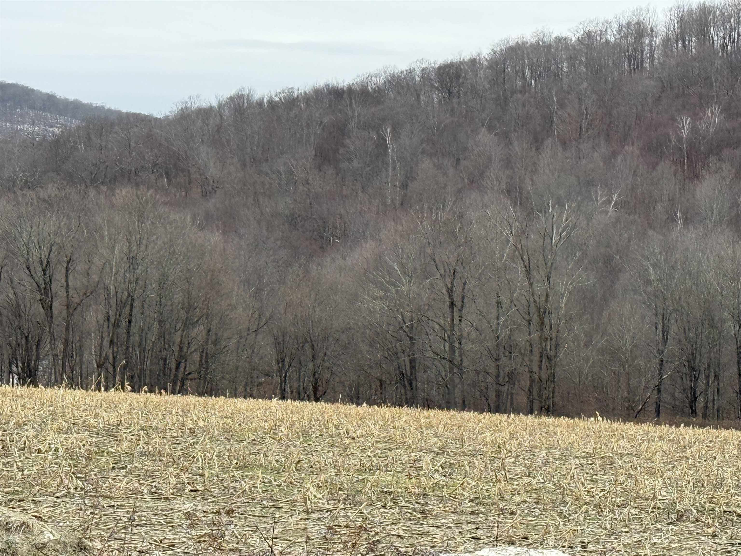 0 Suncrest Road West Pawlet, VT 05775 - Photo 8 of 27