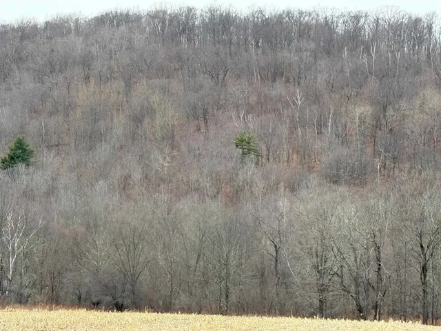 $625,000 | 0 Suncrest Road, West Pawlet, VT 05775