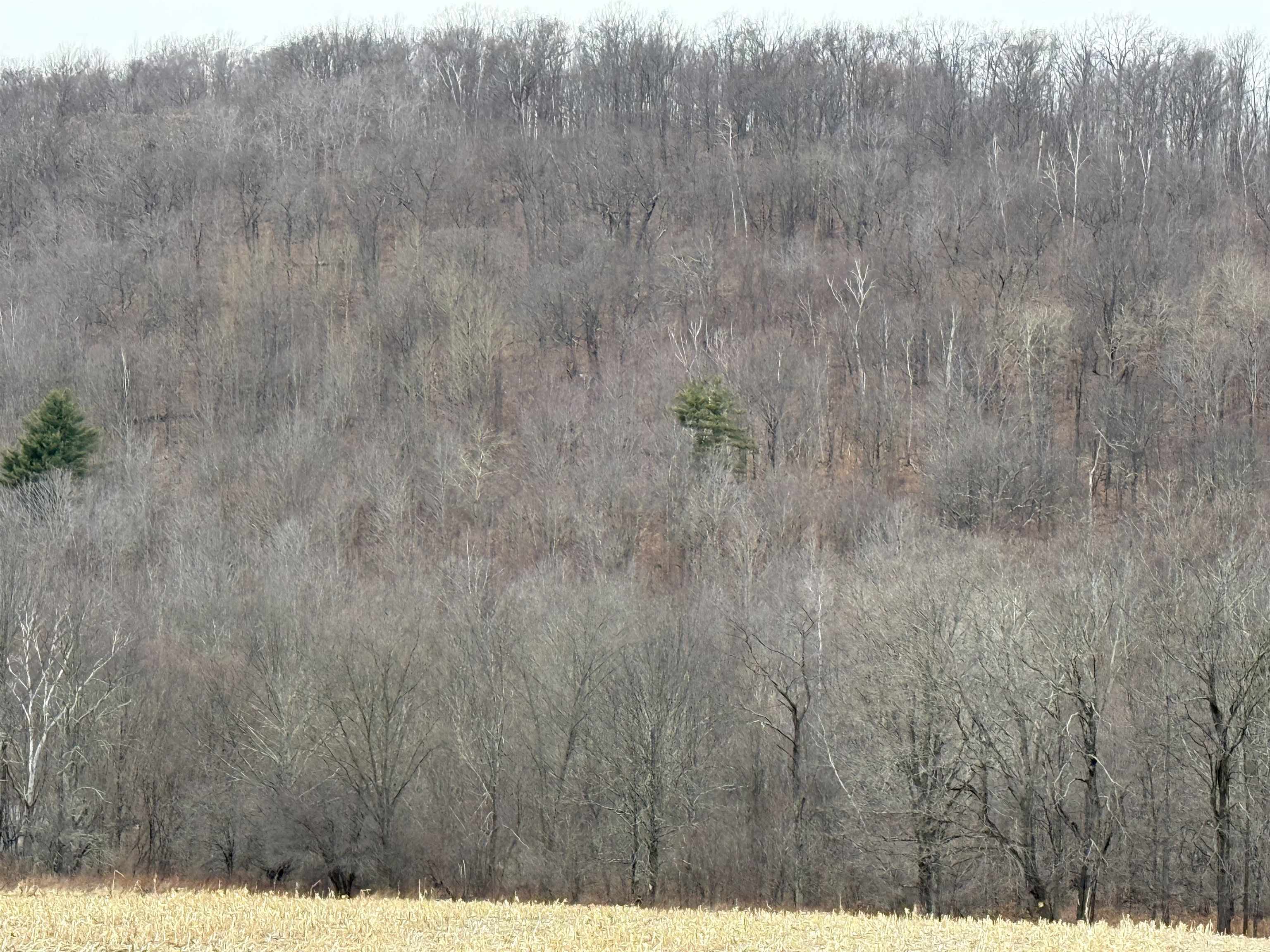 0 Suncrest Road West Pawlet, VT 05775 - Photo 10 of 27