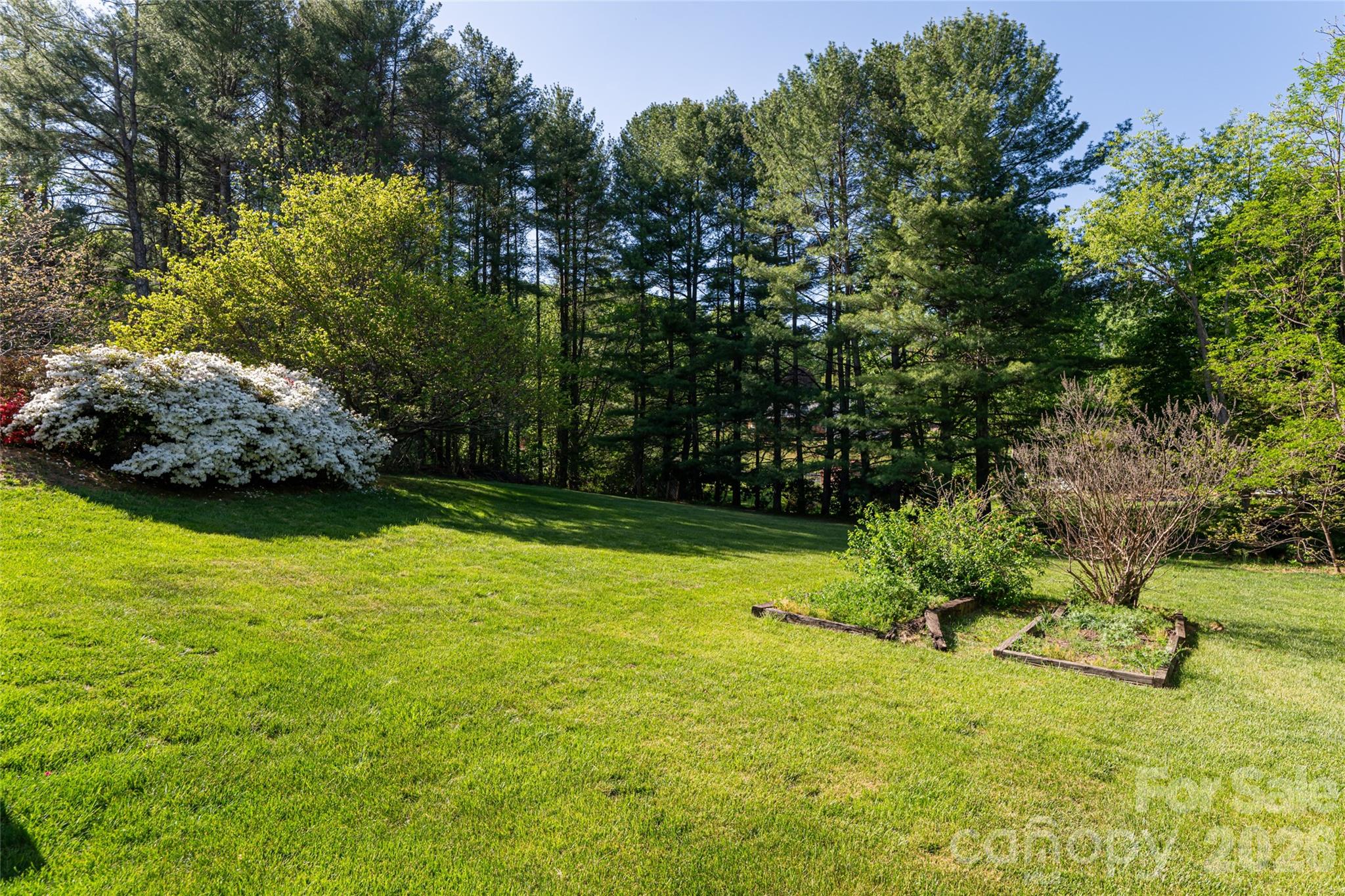 7 Ashley Road Asheville, NC 28805 - Photo 44 of 48