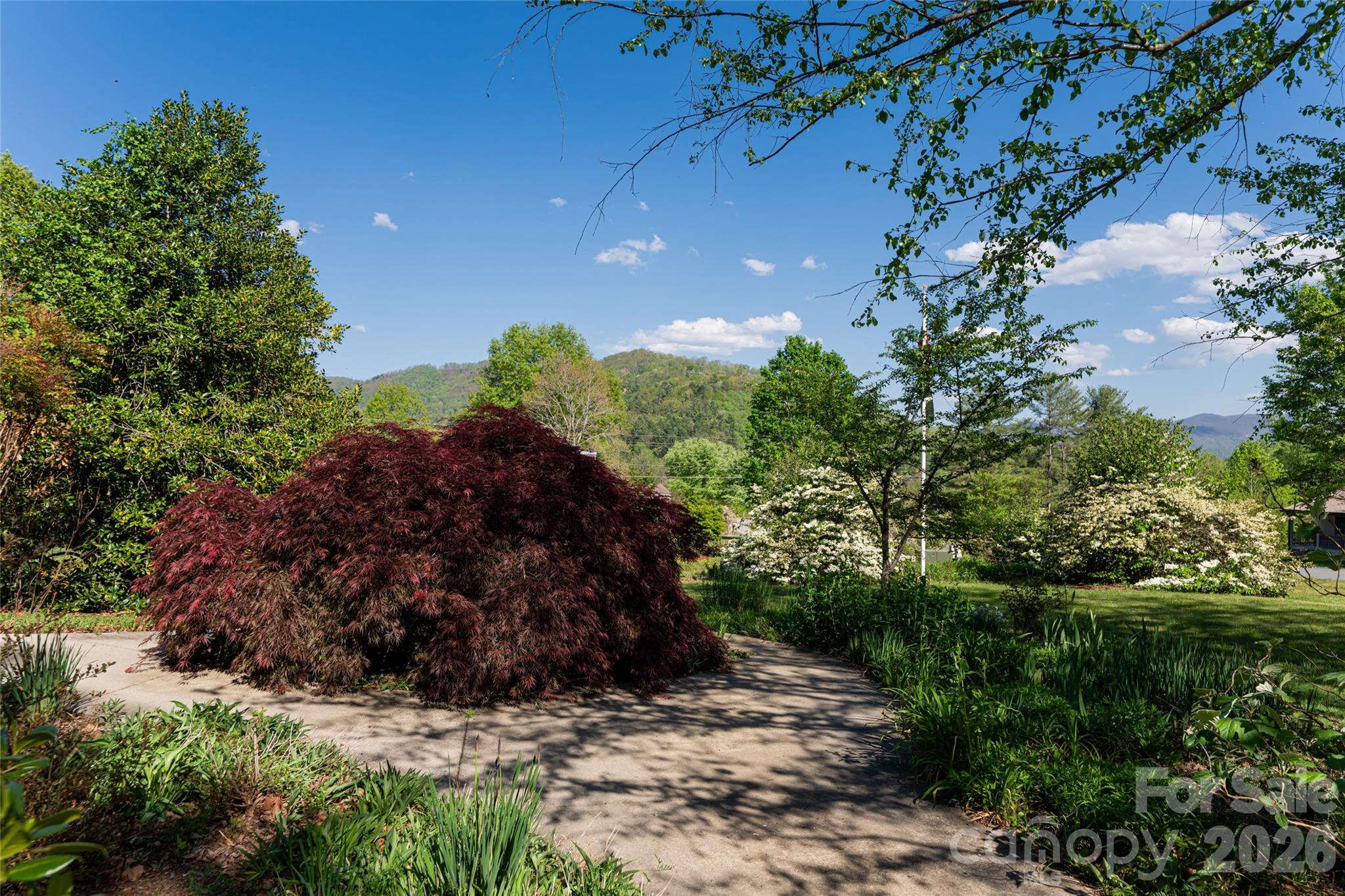 7 Ashley Road Asheville, NC 28805 - Photo 6 of 48