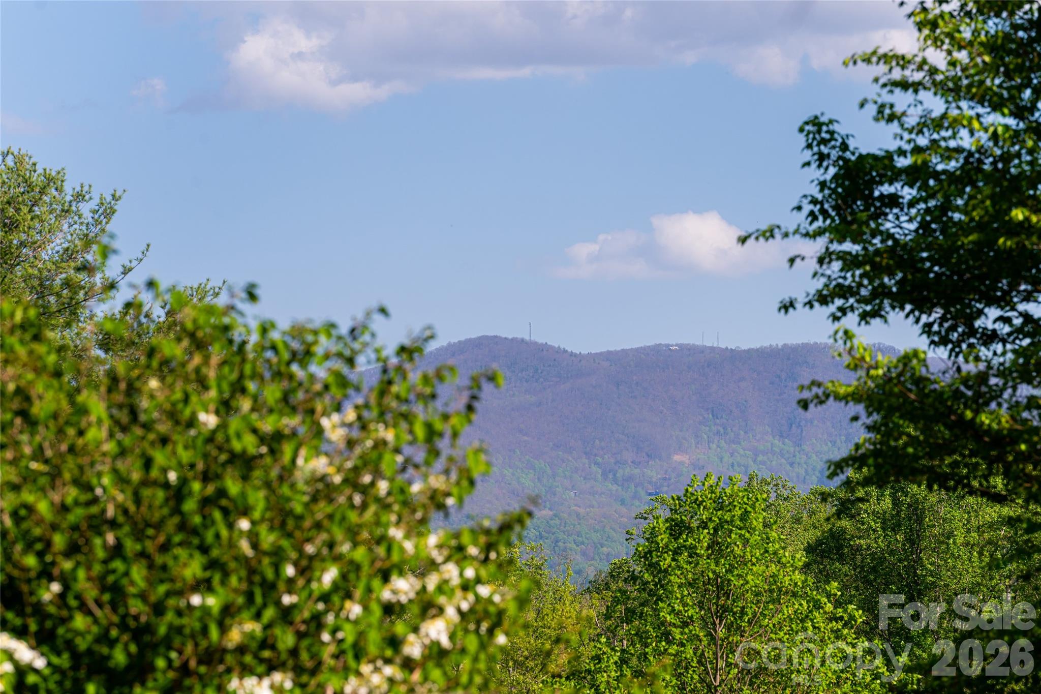 7 Ashley Road Asheville, NC 28805 - Photo 7 of 48