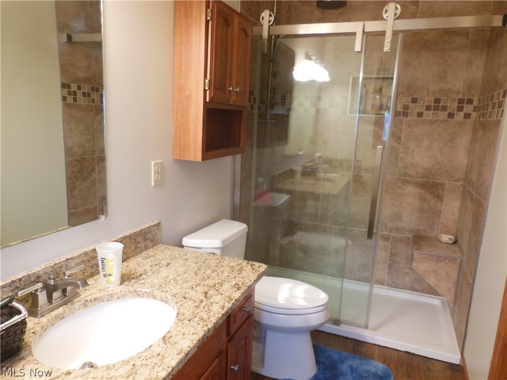 40672 Slife Road Lagrange, OH 44050 - Photo 13 of 31 FIRST FLOOR MASTER SUITE FULL BATHROOM
