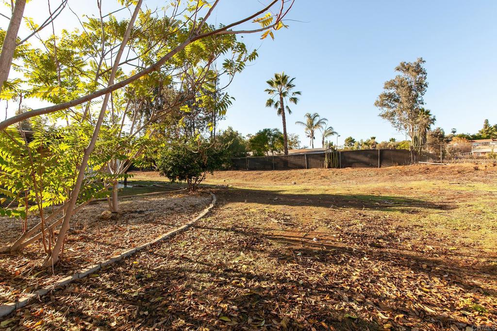 10546 Valle Vista Road Lakeside, CA 92040 - Photo 28 of 66 a view of a yard with an trees
