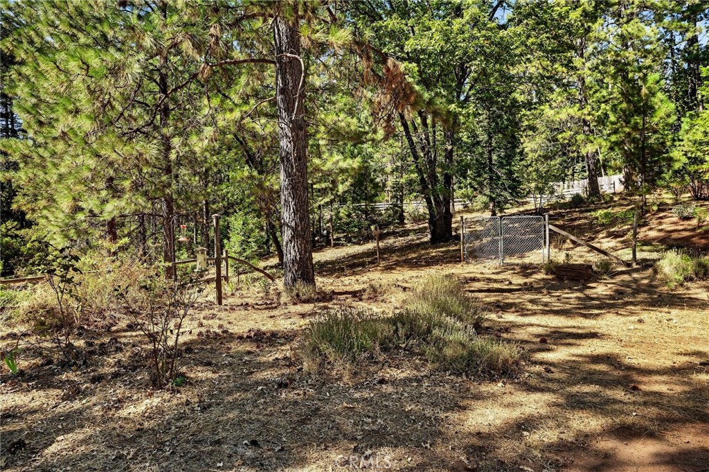 10202 Cohasset Road Chico, CA 95973 - Photo 54 of 75