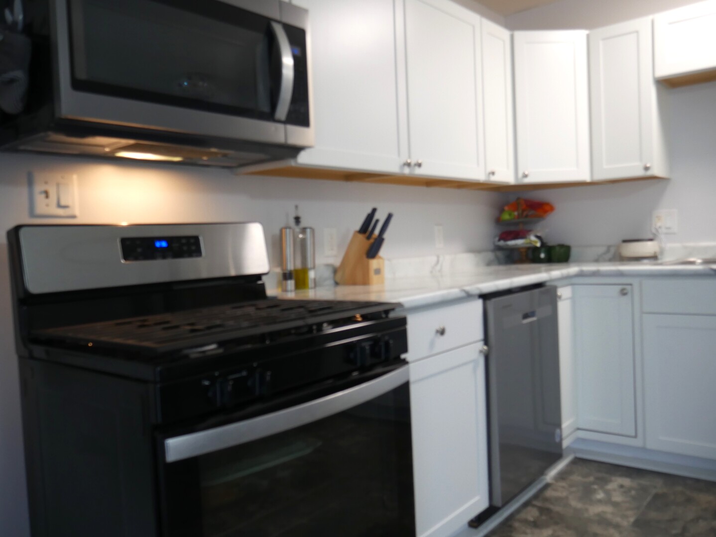 973 North 2000E Road Bradley, IL 60915 - Photo 4 of 16