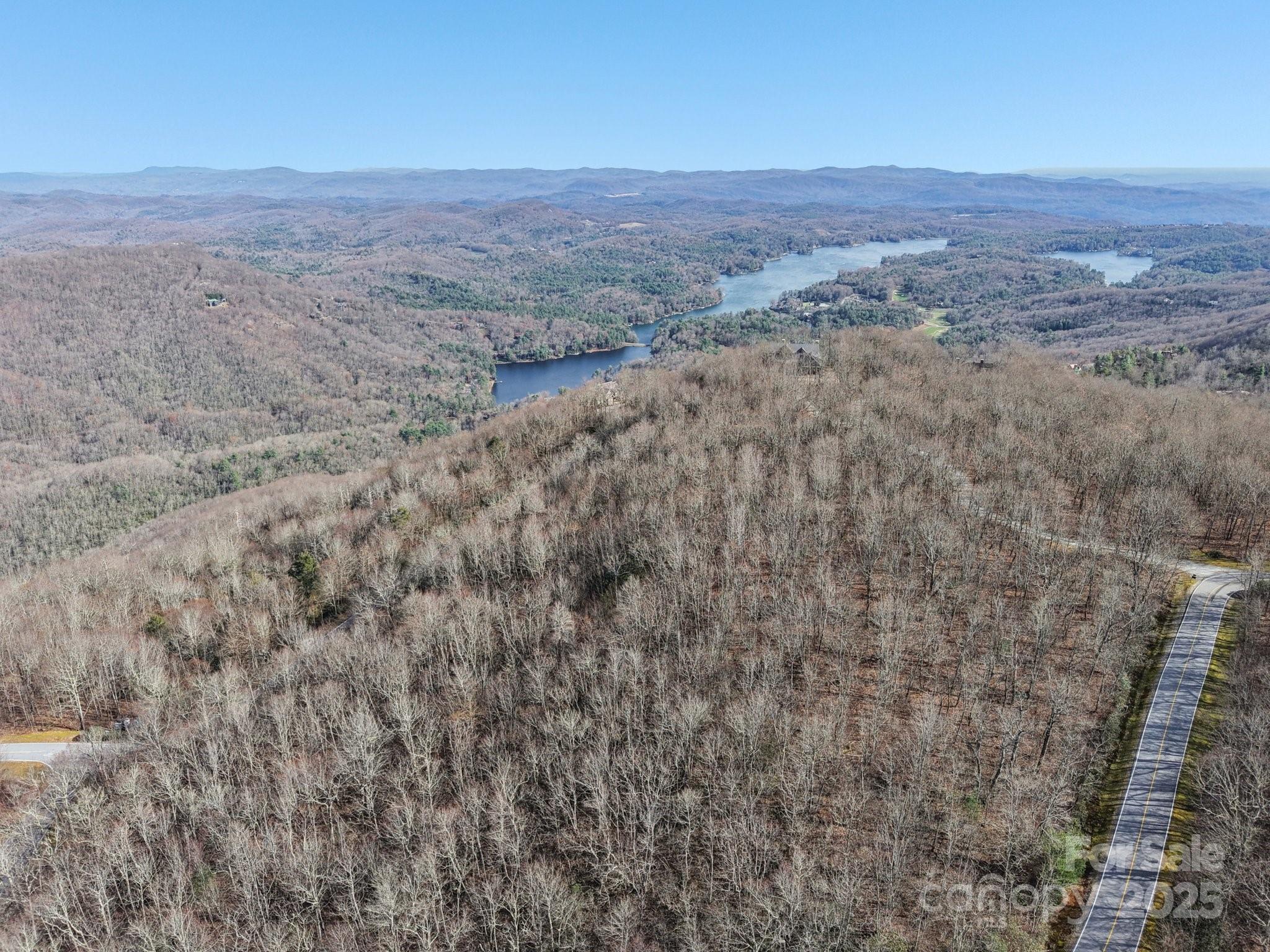 Mr-37 R Panthertown Road Lake Toxaway, NC 28747 - Photo 2 of 8 a view of a dry yard with trees