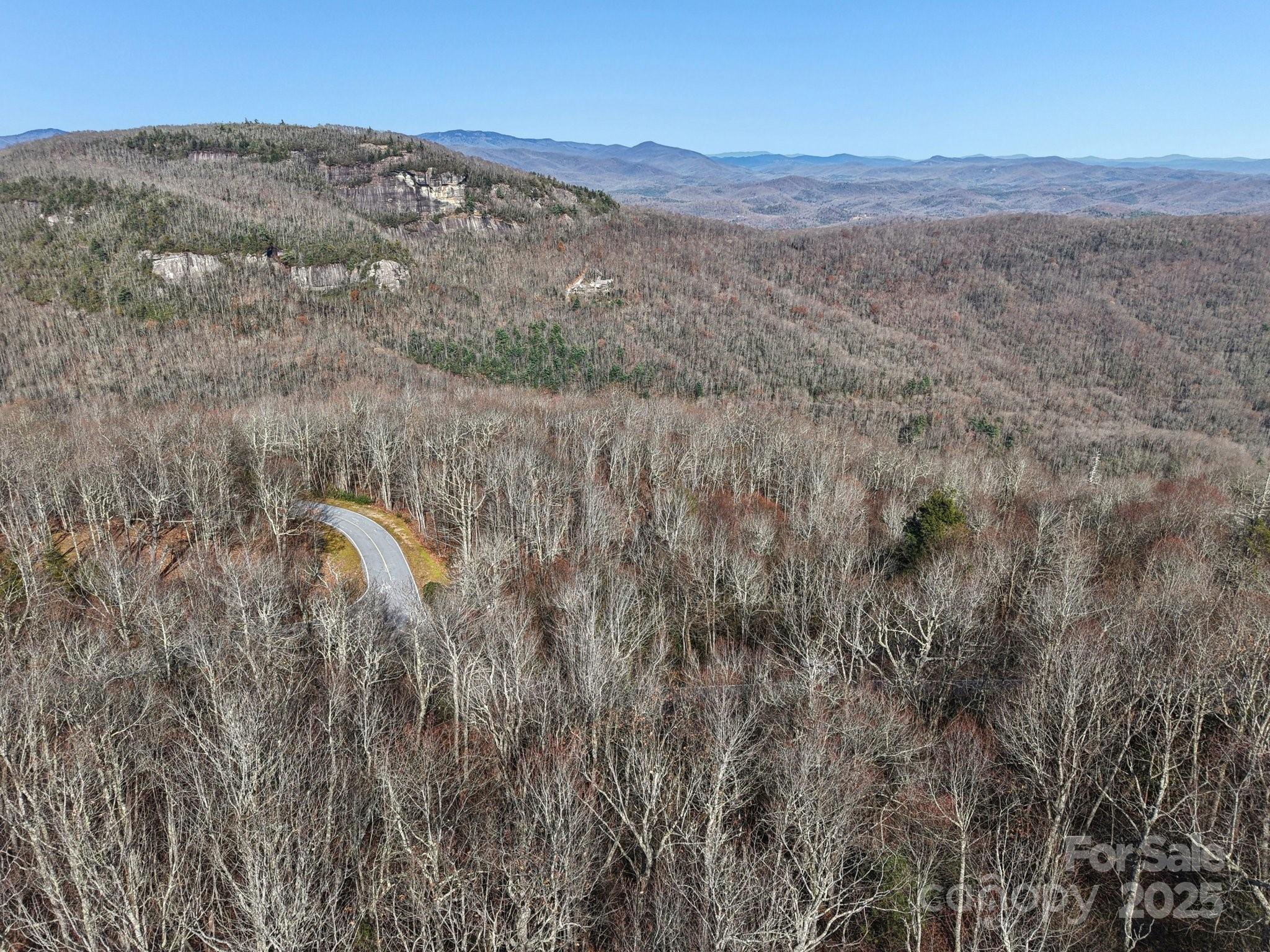 Mr-37 R Panthertown Road Lake Toxaway, NC 28747 - Photo 3 of 8 a view of a dry field with trees in background
