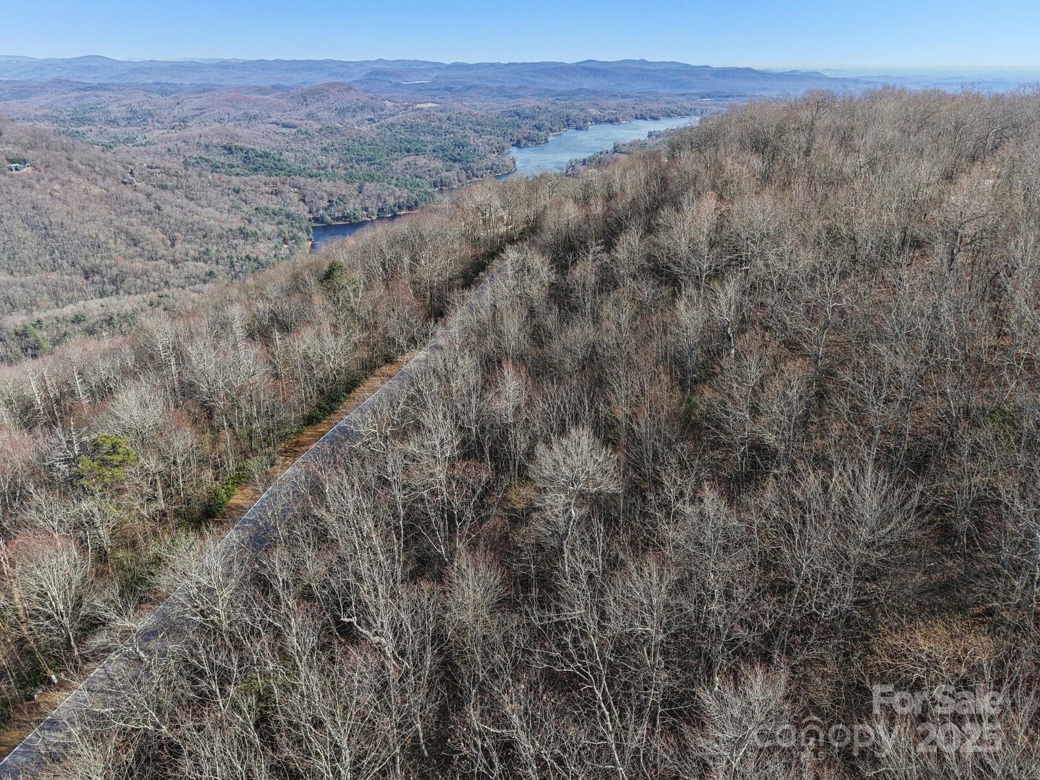 Mr-37 R Panthertown Road Lake Toxaway, NC 28747 - Photo 4 of 8 a view of a dry yard