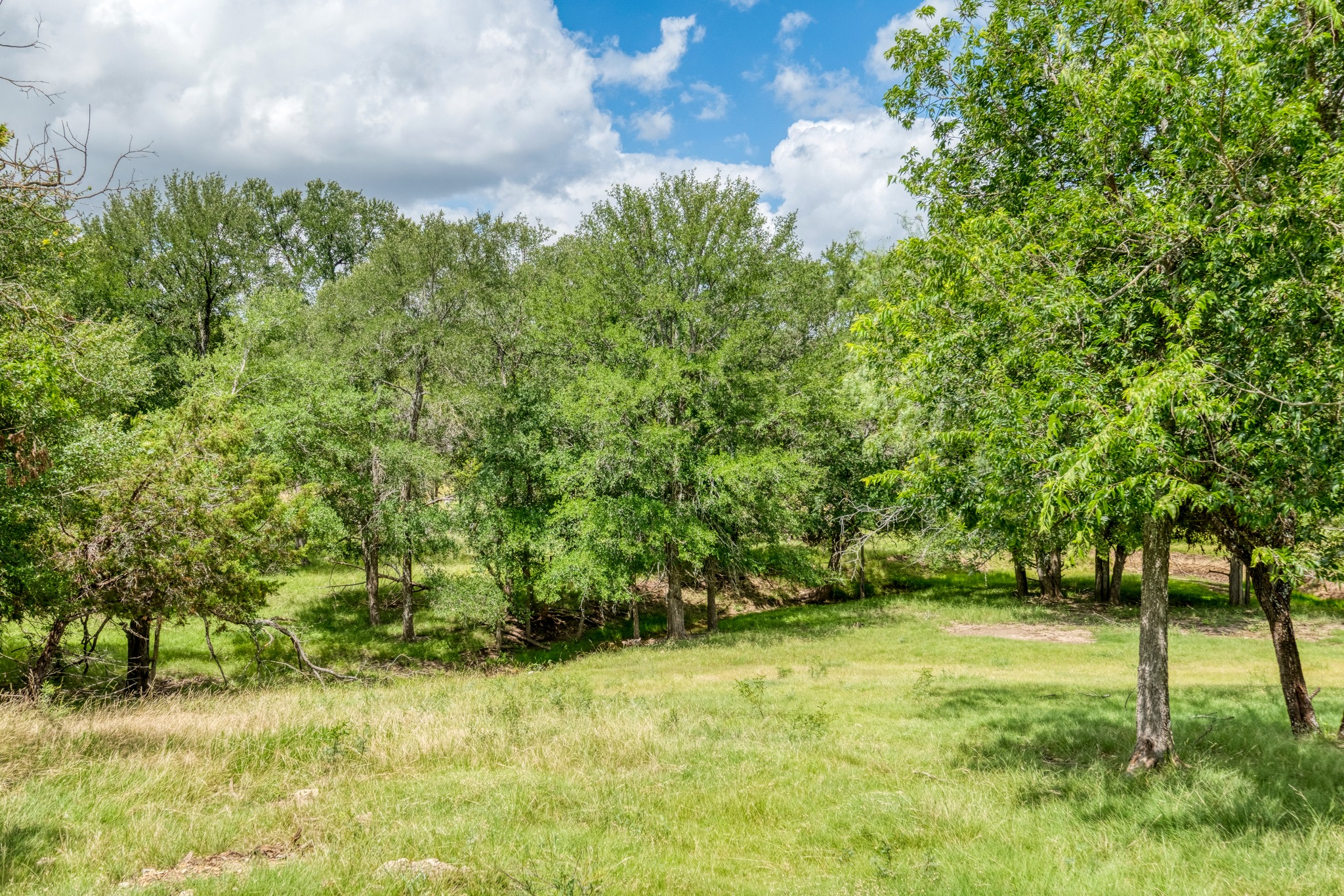 701 Berry Lane Georgetown, TX 78626 - Photo 37 of 37