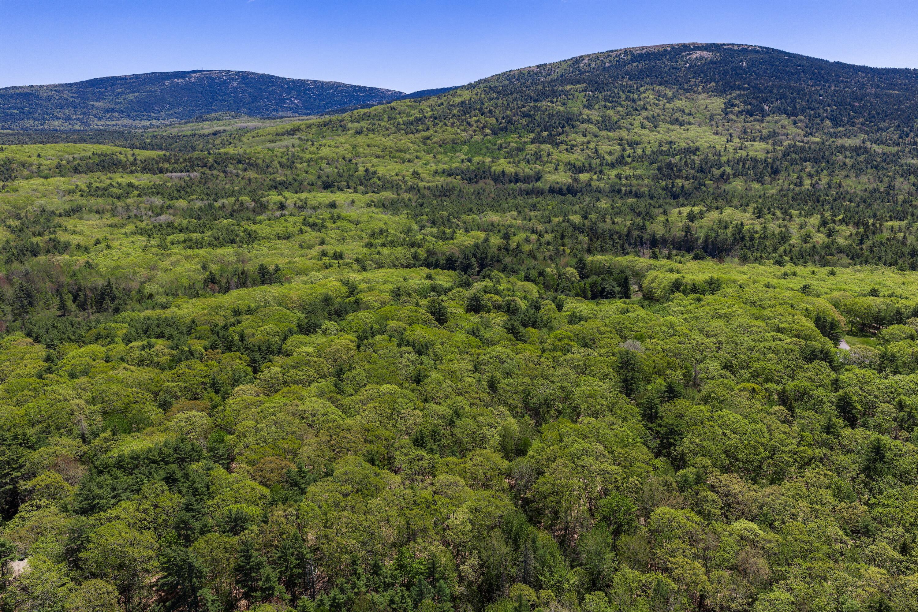 108 Stanley Mountain Road Mount Desert, ME 04660 - Photo 5 of 23 108-Stanley- Mountain-Exterior-16
