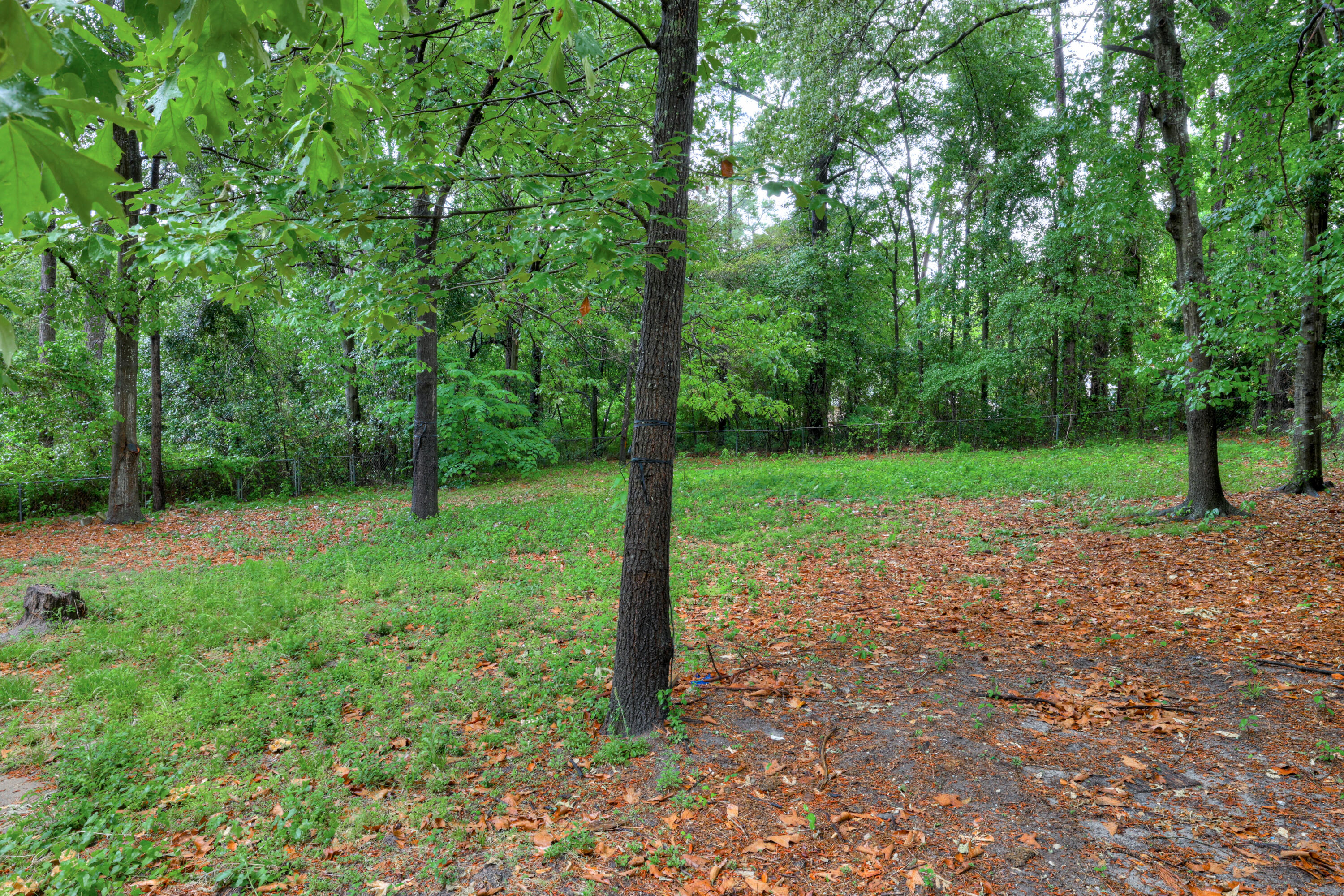 3117 Eagle Rock Road Augusta, GA 30909 - Photo 36 of 41 38-138
