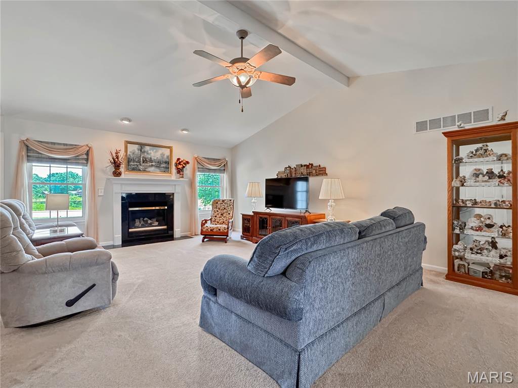 608 Katie Drive Waterloo, IL 62298 - Photo 7 of 41