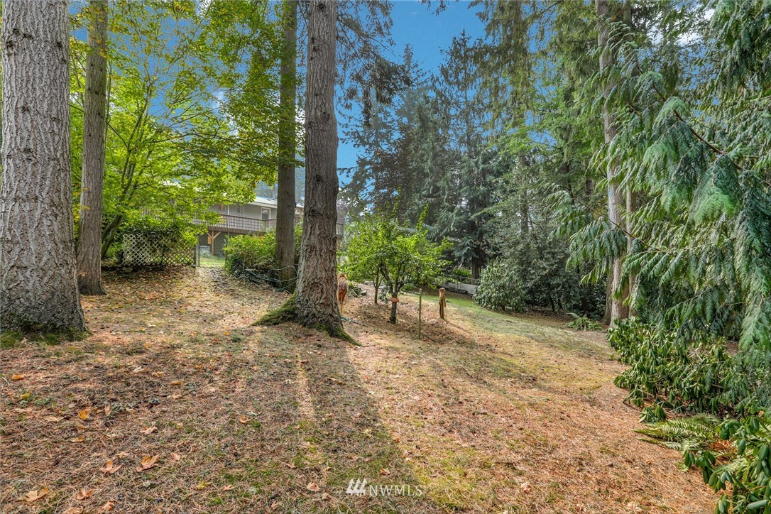 24106 4th Place West Bothell, WA 98021 - Photo 32 of 36 a view of a yard with a tree