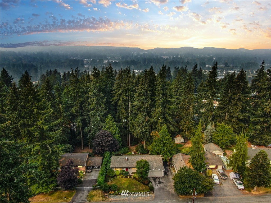 24106 4th Place West Bothell, WA 98021 - Photo 36 of 36 a view of a city with lush green forest
