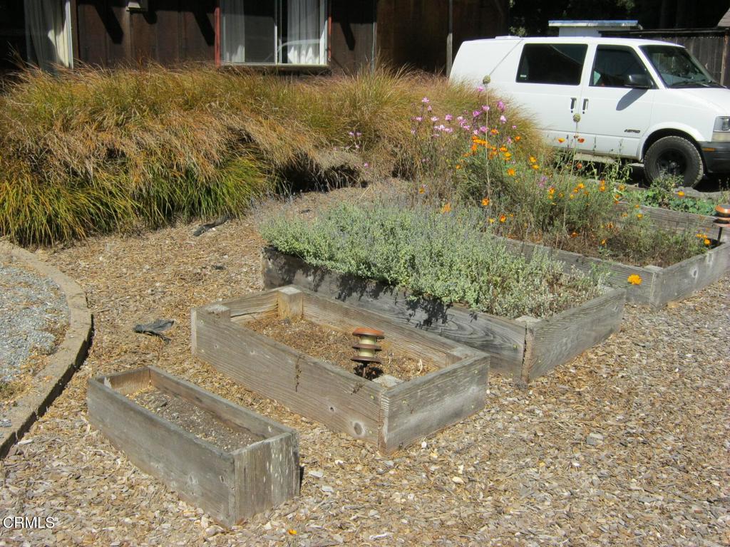 30520 Pudding Creek Road Fort Bragg, CA 95437 - Photo 13 of 24 a view of yard with large trees