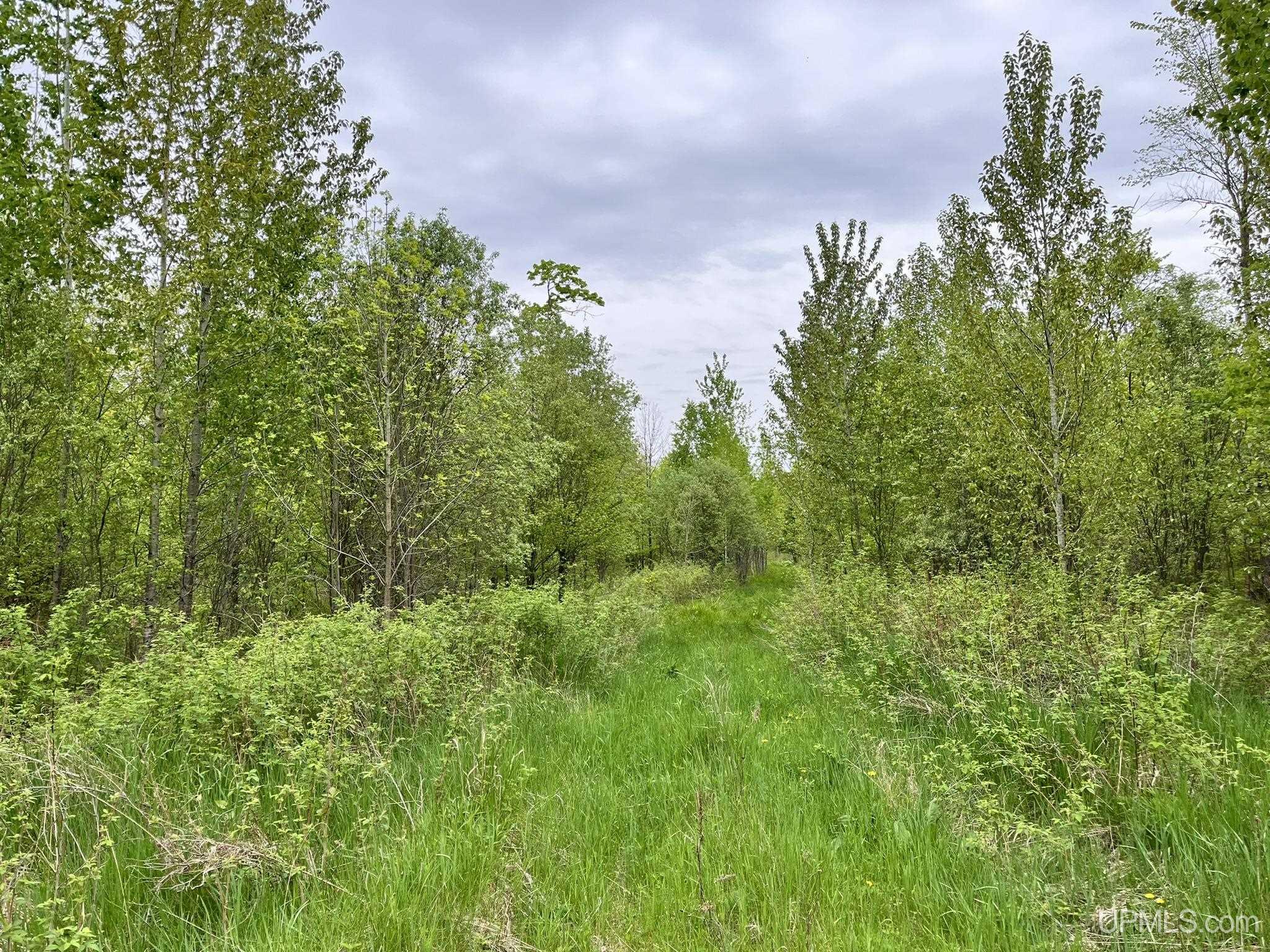 568 East Edge Road Germfask, MI 49836 - Photo 33 of 36 Gallery Image 33
