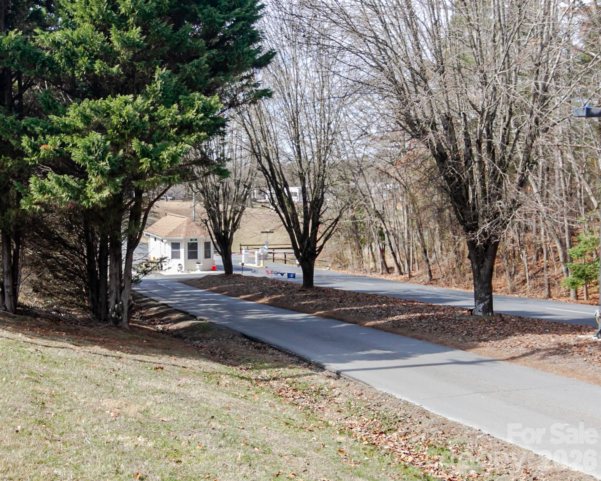 166 Badin Lake Road, Unit 757 New London, NC 28127 - Photo 34 of 45 a tree in the middle of a yard