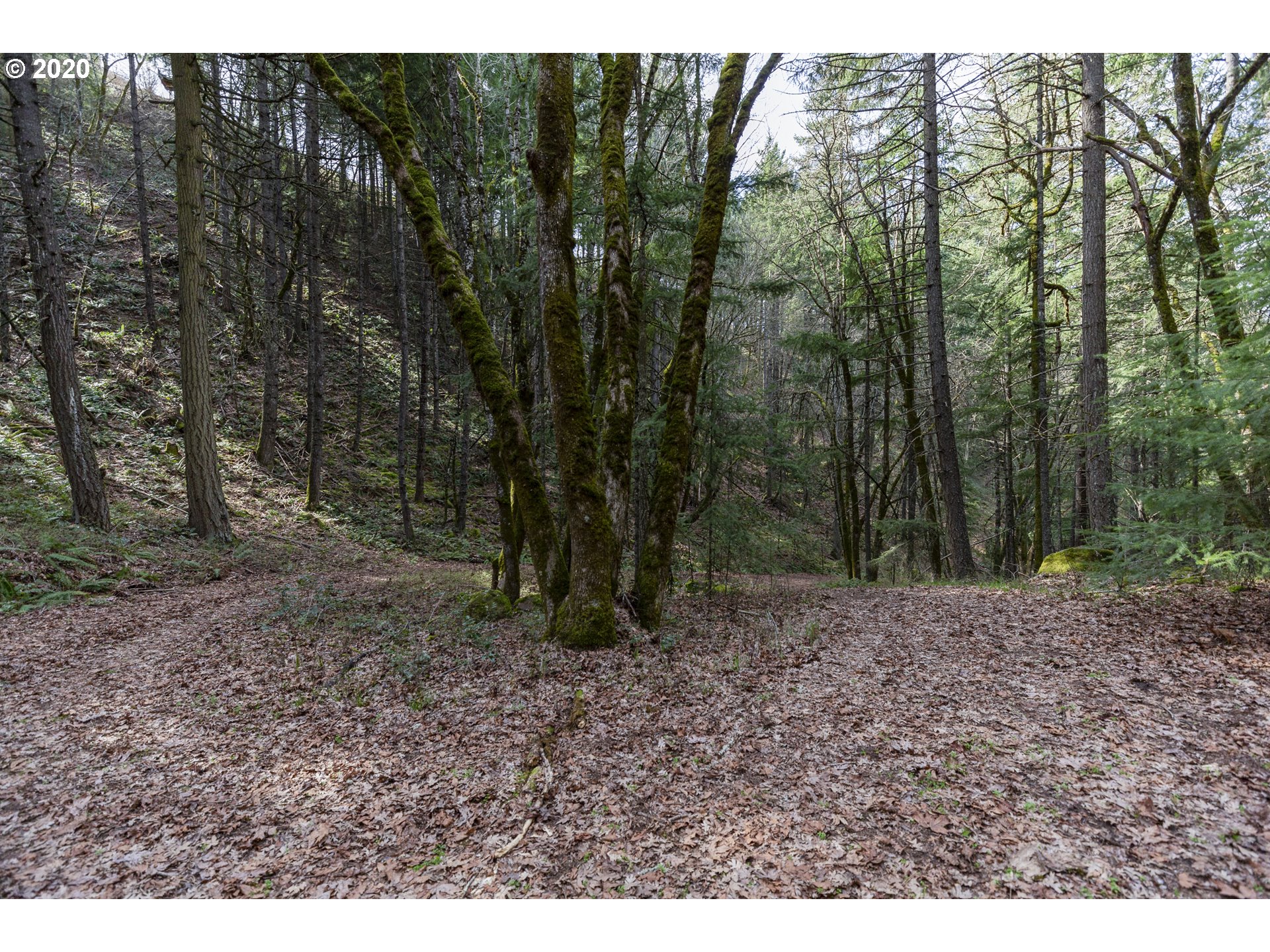571 Eastside Road Hood River, OR 97031 - Photo 22 of 30
