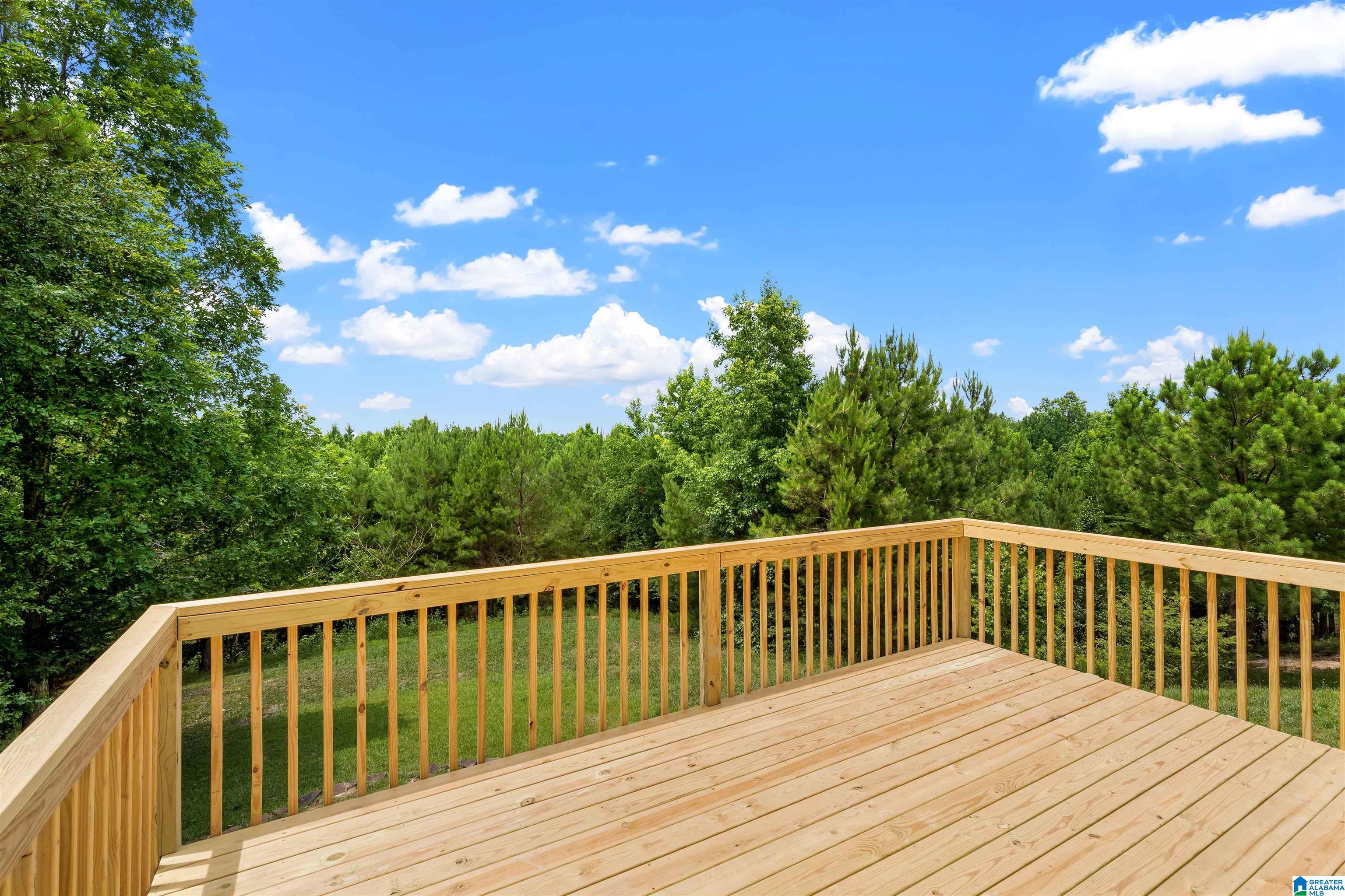 160 Pine Springs Road Odenville, AL 35120 - Photo 16 of 18