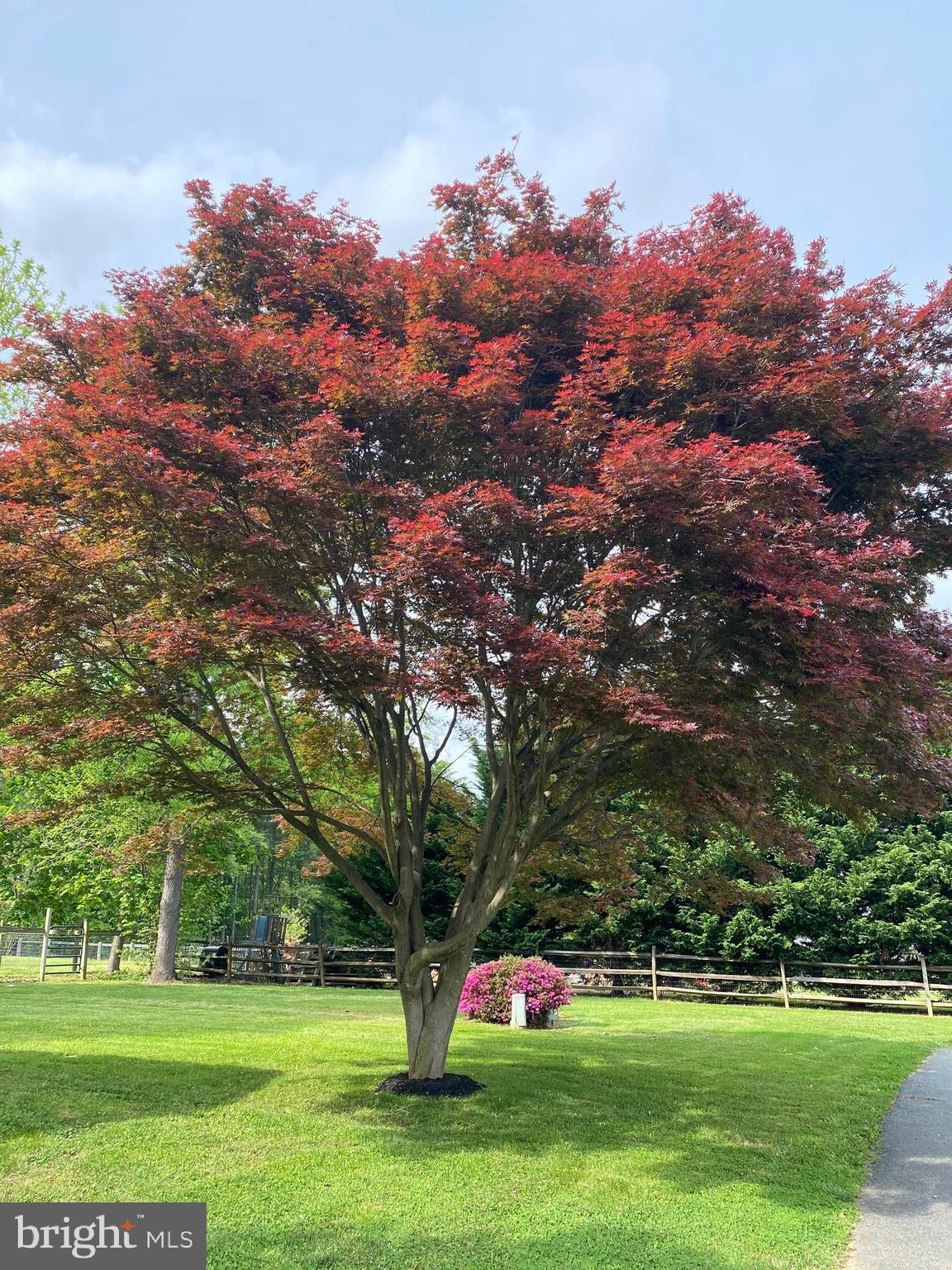 1654 Dr Jack Road Conowingo, MD 21918 - Photo 6 of 47