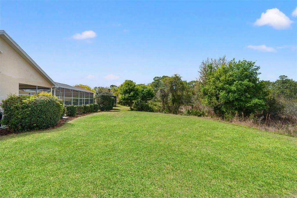 8405 Maybelle Drive Weeki Wachee, FL 34613 - Photo 44 of 61 a view of a field of grass and trees