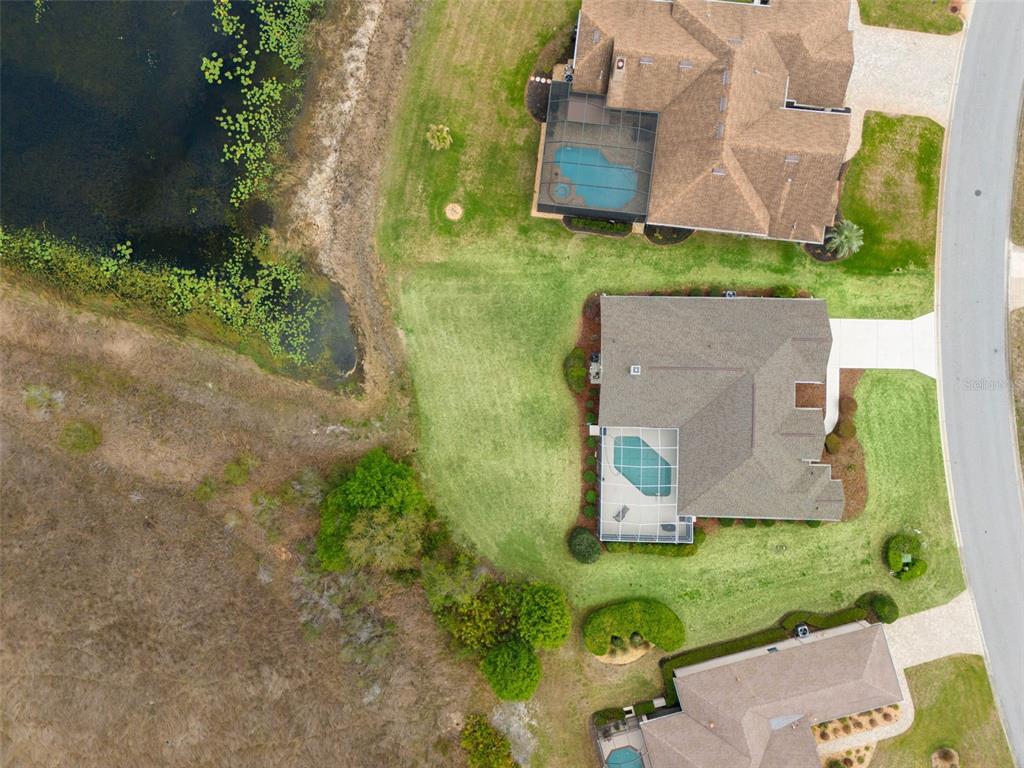 8405 Maybelle Drive Weeki Wachee, FL 34613 - Photo 50 of 61