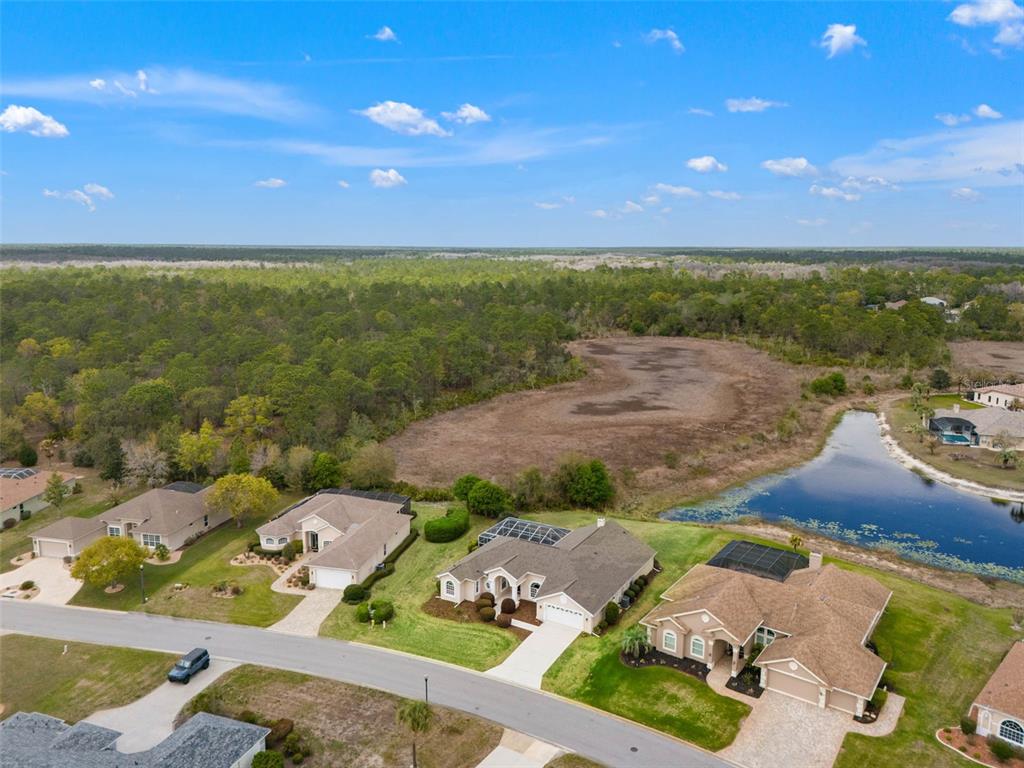 8405 Maybelle Drive Weeki Wachee, FL 34613 - Photo 51 of 61